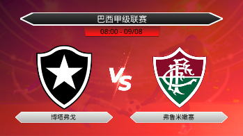 巴西甲级联赛 博塔弗戈 VS 弗鲁米嫩塞
