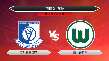 德国足协杯 艾尔格里尼克 VS 沃尔夫斯堡