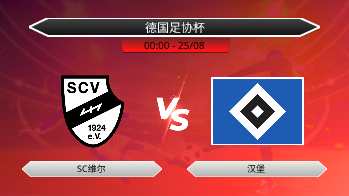 德国足协杯 SC维尔 VS 汉堡