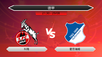 德甲 科隆 VS 霍芬海姆