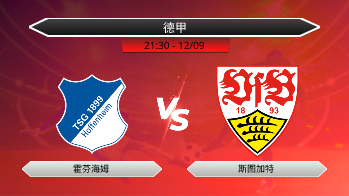 德甲 霍芬海姆 VS 斯图加特