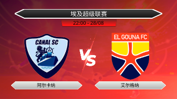 埃及超级联赛 阿尔卡纳 VS 艾尔格纳