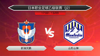 日本职业足球乙级联赛（J2） 新潟天鹅 VS 山形山神