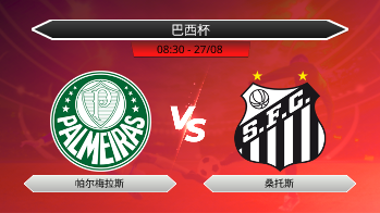 巴西杯 帕尔梅拉斯 VS 桑托斯
